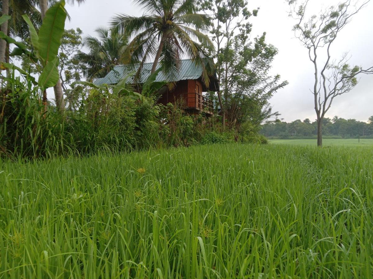 Sigiriya Paddy Field Hut Βίλα Εξωτερικό φωτογραφία